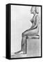 Statue of King Amenhotep IV-null-Framed Stretched Canvas