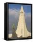 Statue of Leifur Eiriksson (Liefer Eriksson) and Hallgrimskirkja, Reykjavik, Iceland, Polar Regions-Neale Clarke-Framed Stretched Canvas