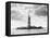 Statue of Liberty, 1905-Science Source-Framed Stretched Canvas