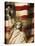 Statue of Liberty and American Flag-Joseph Sohm-Stretched Canvas