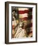 Statue of Liberty and American Flag-Joseph Sohm-Framed Premium Photographic Print