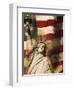 Statue of Liberty and American Flag-Joseph Sohm-Framed Premium Photographic Print