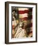 Statue of Liberty and American Flag-Joseph Sohm-Framed Photographic Print