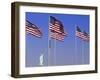 Statue of Liberty and Us Flags, New York City, USA-Walter Bibikow-Framed Photographic Print