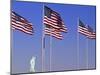 Statue of Liberty and Us Flags, New York City, USA-Walter Bibikow-Mounted Photographic Print