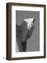 Statue of Liberty Holding Tablet-null-Framed Photographic Print