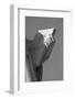 Statue of Liberty Holding Tablet-null-Framed Photographic Print