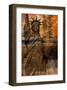 Statue of Liberty I-Irena Orlov-Framed Art Print