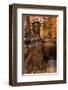 Statue of Liberty I-Irena Orlov-Framed Art Print