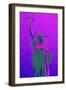 Statue of Liberty III - In the Style of Oil Painting-Philippe Hugonnard-Framed Giclee Print