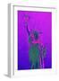 Statue of Liberty III - In the Style of Oil Painting-Philippe Hugonnard-Framed Giclee Print