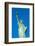 Statue of Liberty, Liberty Island, Manhattan, New York, United States of America, North America-Alan Copson-Framed Photographic Print