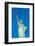 Statue of Liberty, Liberty Island, Manhattan, New York, United States of America, North America-Alan Copson-Framed Photographic Print