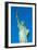 Statue of Liberty, Liberty Island, Manhattan, New York, United States of America, North America-Alan Copson-Framed Photographic Print