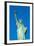 Statue of Liberty, Liberty Island, Manhattan, New York, United States of America, North America-Alan Copson-Framed Photographic Print