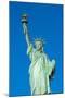 Statue of Liberty, Liberty Island, Manhattan, New York, United States of America, North America-Alan Copson-Mounted Photographic Print