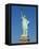 Statue of Liberty, Liberty Island, New York City, New York, United States of America, North America-Amanda Hall-Framed Stretched Canvas