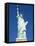 Statue of Liberty, Liberty Island, New York City, New York, United States of America, North America-Amanda Hall-Framed Stretched Canvas