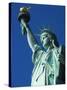 Statue of Liberty, Liberty Island, New York City, New York, USA-Amanda Hall-Stretched Canvas