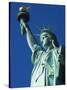 Statue of Liberty, Liberty Island, New York City, New York, USA-Amanda Hall-Stretched Canvas