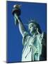 Statue of Liberty, Liberty Island, New York City, New York, USA-Amanda Hall-Mounted Photographic Print