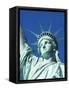 Statue of Liberty, Liberty Island, New York City, New York, USA-Amanda Hall-Framed Stretched Canvas