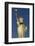 Statue of Liberty - Manhattan - New York City - United States-Philippe Hugonnard-Framed Photographic Print