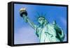 Statue of Liberty New York American Symbol USA US-holbox-Framed Stretched Canvas