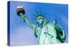 Statue of Liberty New York American Symbol USA US-holbox-Stretched Canvas