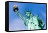 Statue of Liberty New York American Symbol USA US-holbox-Framed Stretched Canvas