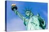 Statue of Liberty New York American Symbol USA US-holbox-Stretched Canvas