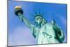 Statue of Liberty New York American Symbol USA US-holbox-Mounted Photographic Print