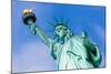 Statue of Liberty New York American Symbol USA US-holbox-Mounted Photographic Print