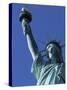 Statue of Liberty, New York City, USA-Jon Arnold-Stretched Canvas