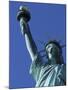 Statue of Liberty, New York City, USA-Jon Arnold-Mounted Photographic Print