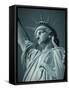 Statue of Liberty, New York City, USA-Jon Arnold-Framed Stretched Canvas