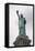 Statue of Liberty, New York City-Fraser Hall-Framed Stretched Canvas