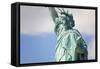 Statue of Liberty, New York, USA-Peter Adams-Framed Stretched Canvas