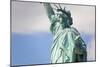 Statue of Liberty, New York, USA-Peter Adams-Mounted Photographic Print