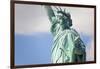 Statue of Liberty, New York, USA-Peter Adams-Framed Photographic Print