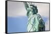 Statue of Liberty, New York, USA-Peter Adams-Framed Stretched Canvas