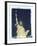 Statue of Liberty, New York, USA-Jon Arnold-Framed Premium Photographic Print