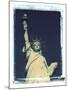 Statue of Liberty, New York, USA-Jon Arnold-Mounted Premium Photographic Print