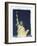 Statue of Liberty, New York, USA-Jon Arnold-Framed Photographic Print