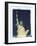 Statue of Liberty, New York, USA-Jon Arnold-Framed Photographic Print