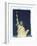 Statue of Liberty, New York, USA-Jon Arnold-Framed Photographic Print