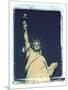 Statue of Liberty, New York, USA-Jon Arnold-Mounted Photographic Print