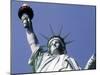 Statue of Liberty, New York-null-Mounted Photographic Print