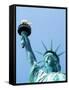 Statue of Liberty, New York-null-Framed Stretched Canvas