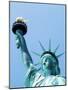 Statue of Liberty, New York-null-Mounted Photographic Print